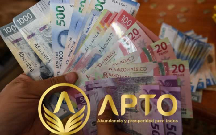 APTO-PACK-NEGOCIO